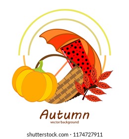 autumn pumpkin umbrella rubber boots fallen leaf basket autumnal vector background