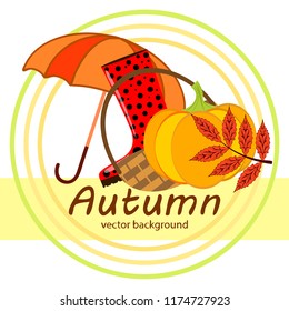 autumn pumpkin umbrella rubber boots fallen leaf basket autumnal vector background