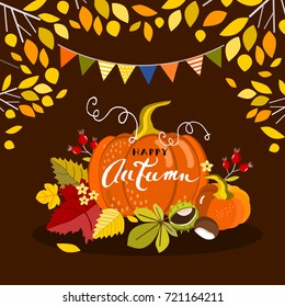 Autumn pumpkin, vector illustration