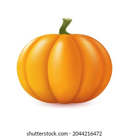 Autumn pumpkin vector illustration closeup isolated on white background. Halloween Symbol