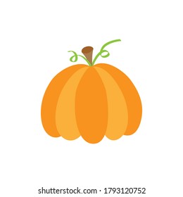 Autumn pumpkin vector illustration. Hand drawn fall pumpkin vegetable. Isolated.