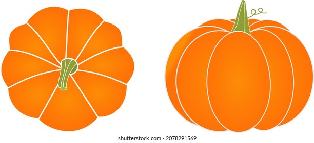 Autumn Pumpkin vector, Pumpkin on top, Pumpkin - squash for Halloween or Thanksgiving flat vector color icon for apps banner celebrations card and websites,vegetables, Food ingredient.