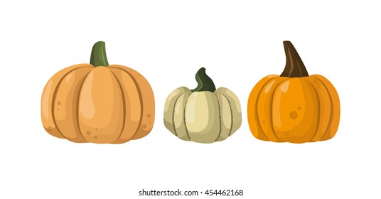 Autumn pumpkin vegetable design