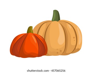 Autumn pumpkin vegetable design