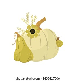 Autumn pumpkin -  vegetable graphic. Fall season. Garden plants. Simple cartoon flat style. Vector illustration