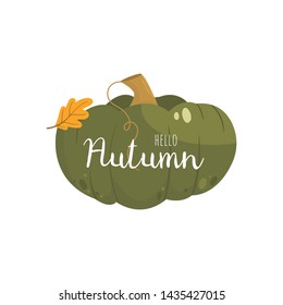 Autumn pumpkin -  vegetable graphic. Fall season. Garden plants. Simple cartoon flat style. Vector illustration