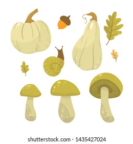 Autumn pumpkin -  vegetable graphic. Fall season. Garden plants. Simple cartoon flat style. Vector illustration