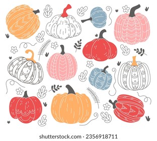 Autumn pumpkin vegetable Halloween and thanksgiving food isolated set in different style. Colorful, linear october or november fall holiday squash plant creative sketch pattern vector illustration