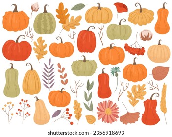 Autumn pumpkin vegetable harvest, plant leaves, garden flower isolated set for thanksgiving holiday. Fall season squash crop and different botanical decorative doodle element vector illustration