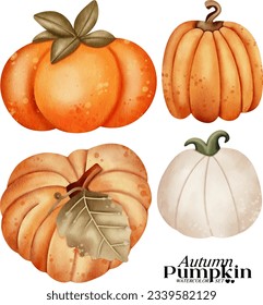 Autumn pumpkin watercolor illustration set