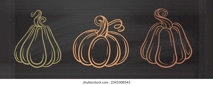 Autumn pumpkins doodles set on the chalkboard background. Vector line art illustration.