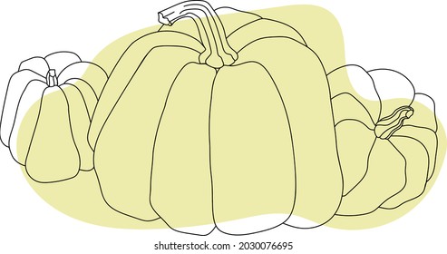 Autumn pumpkins drawing by black line on colored background, isolated image.