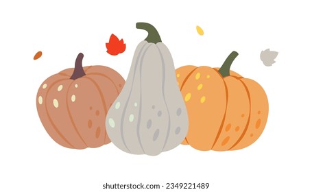 Autumn pumpkins. Pumpkins. Autumn halloween vegetables. Vector illustration.