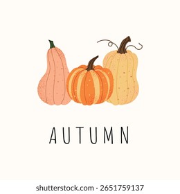Autumn pumpkins illustration. Set of cute colorful gourds in cozy fall design. Vector seasonal postcard with different squash types. Thanksgiving or harvest concept.