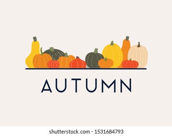 Autumn. Pumpkins on the background. Flat design modern vector illustration concept.