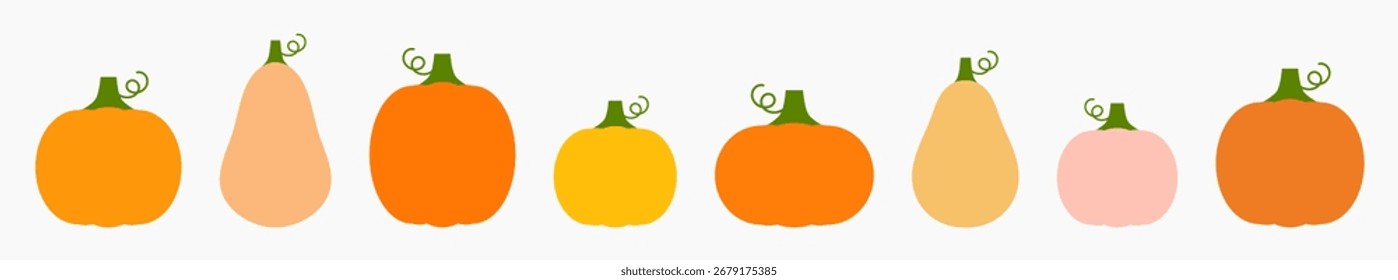 Autumn pumpkins set, different shapes, colors and sizes. Pumpkin gourds border design element. Vector illustration.