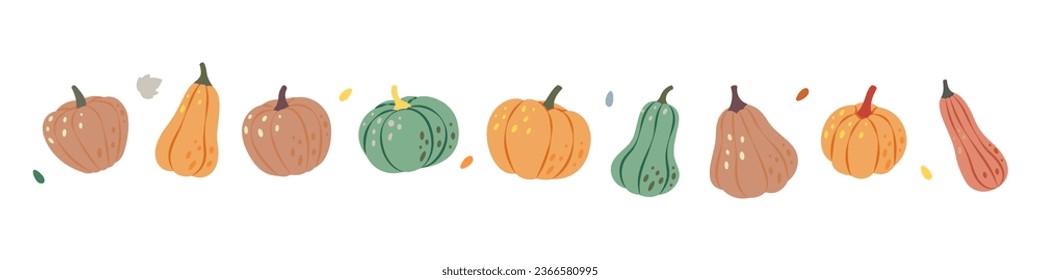 Autumn pumpkins. Pumpkins. Vector illustration. Autumn halloween vegetables.