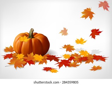 Autumn and pumpkins white background. Vector