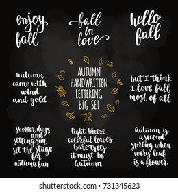 Autumn quotes lettering set. Fall handwritten calligraphy vector illustration  for design Greeting cards, Invitations, Stickers and banners on chalkboard background.