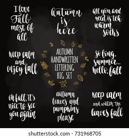 Autumn quotes lettering set. Fall handwritten calligraphy vector illustration  for design Greeting cards, Invitations, Stickers and banners on chalkboard background.