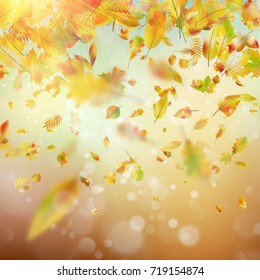 Autumn Rainy colorful blur bokeh background. And also includes EPS 10 vector