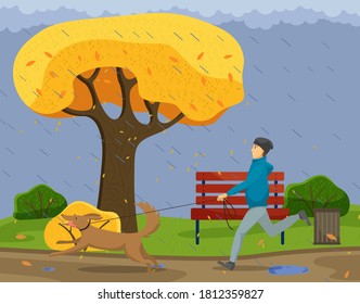 Autumn rainy day. The guy runs with funny dog on leash. Walk in city park with pet. Yellow tree, heavy raining, lonely bench, puddles, pet pulls the owner. Cartoon characters in an autumn park