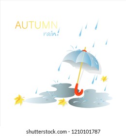 Autumn. Rainy day. Raindrops, umbrella and falling autumn leaves on a light background. Composition with space for text. Design for banner, poster, cover, booklet, card, advertising, calendar