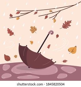 Autumn rainy weather with umbrella in a puddle and different falling leaves. Vector illustration for greeting cards, postcards and t-shirt design.