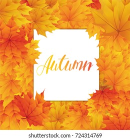 Autumn with realistic maple leaf background and white paper blank space