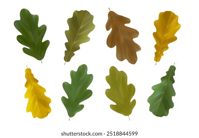 Autumn realistic oak leaves. Fall set of green, yellow, orange, brown oak leaves for sticker, banner, flyer. Vector illustration