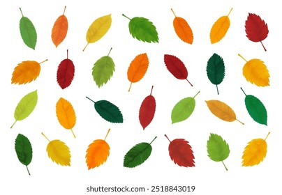 Autumn realistic yellow, red, orange, green leaves. Fall leaf set for sticker, banner, flyer. Decorative botanical seasonal elements for autumn background. Vector illustration