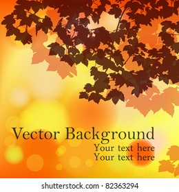 Autumn red background with blurry lights and silhouette of maple leaves