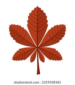 Autumn red chestnut leaf isolated on white background.