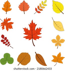autumn red color leaf icon in a collection with other items
