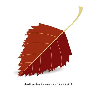 Autumn red leaf, detailed, closeup, birch leaf isolated on white or transparent background with shadow