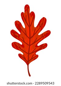 Herbstrote Blatt-Vektorgrafik einzeln auf weißem Hintergrund