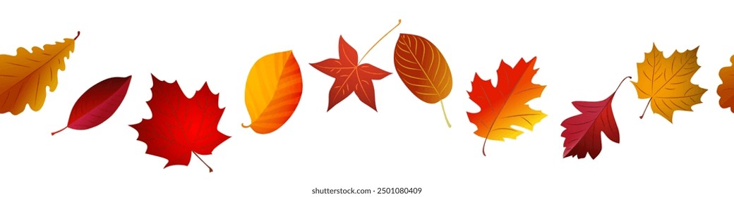 Frontera de hojas rojas de otoño sin costuras. Vector