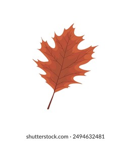 Autumn red leaves illustration vector