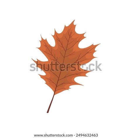 Autumn red leaves illustration vector