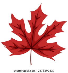Autumn Red maple isolated vector