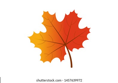 Autumn red maple leaf.