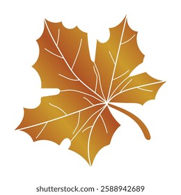 Autumn red maple leaf.Autumn maple leaf fall.Vector illustration