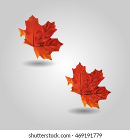 Autumn red maple-leaf low and high resolution triangle mesh realistic vector eps10