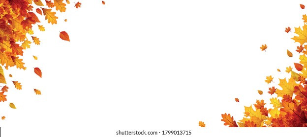 Autumn red, orange, yellow, brown foliage. Birch, oak and maple leaves corner frame. Space for text. White background. Vector illustration.