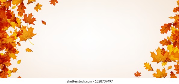 Autumn red, orange, yellow, brown oak and maple leaves corner frame. Space for text. Vector illustration.