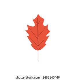 Autumn red tree leaf in simple flat style isolated on white background.