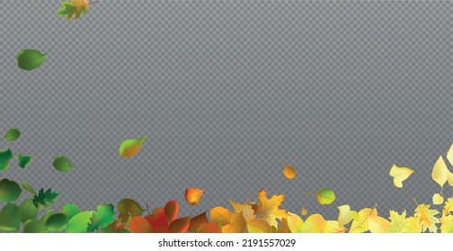 Autumn red and yellow leaves, web template transparent background - Vector illustration