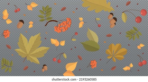 Autumn red and yellow leaves, web template transparent background - Vector illustration