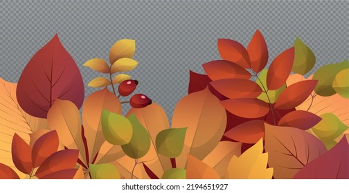 Autumn red and yellow leaves, web template transparent background - Vector illustration