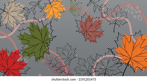 Autumn red and yellow maple leaves, web template transparent background - Vector illustration